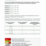Pflegekennzahlen Bremen