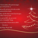 WippCARE Weihnachten 2020